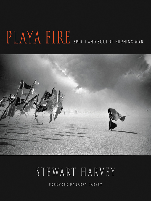Title details for Playa Fire by Stewart Harvey - Available